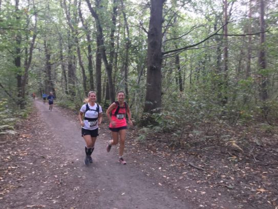 Fonds_de_cayenne_2019-06