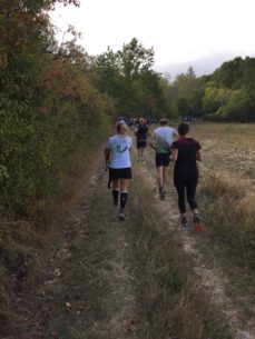 Fonds_de_cayenne_2019-11