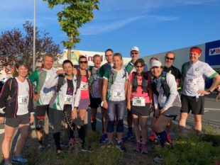 Semi Bois Darcy - 2021_04