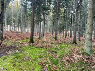 WhatsApp Image 2022-01-30 at 12.39.58 (1)