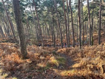 WhatsApp Image 2022-01-30 at 12.39.59