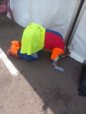 Marathon_Loire_2022-24