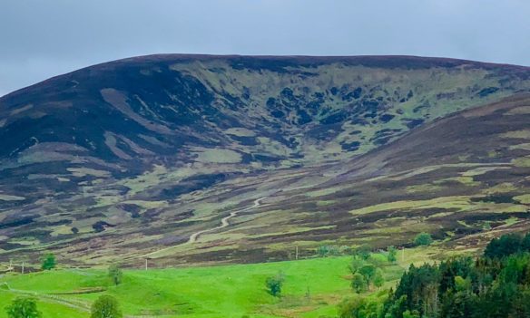 Marathon-Edimbourg-2022-06